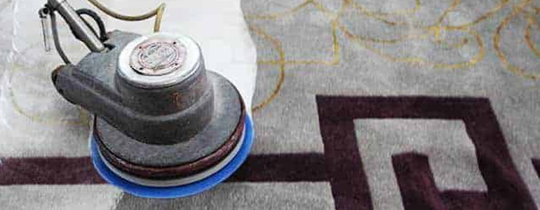 Rugs Steam Cleaning
