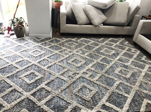 Carpet Cleaning
