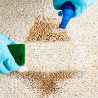 Carpet Sanitizing