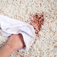 Spot Removal